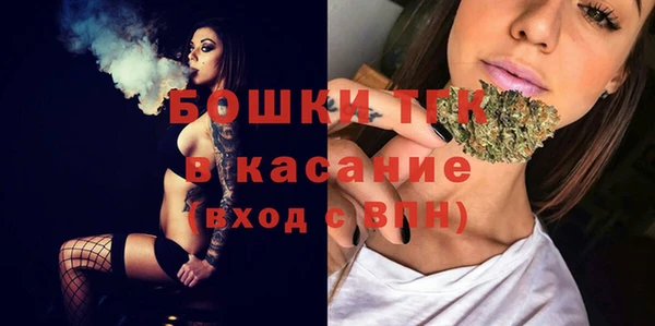 бошки Заводоуковск