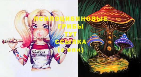 бошки Заводоуковск