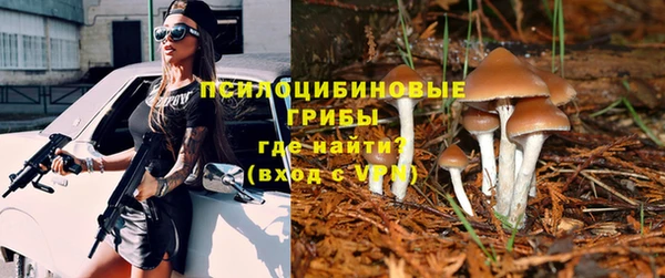 спайс Заволжск